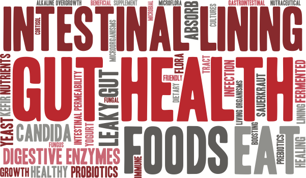 FIVE THINGS YOU NEED TO KNOW ABOUT LEAKY GUT
